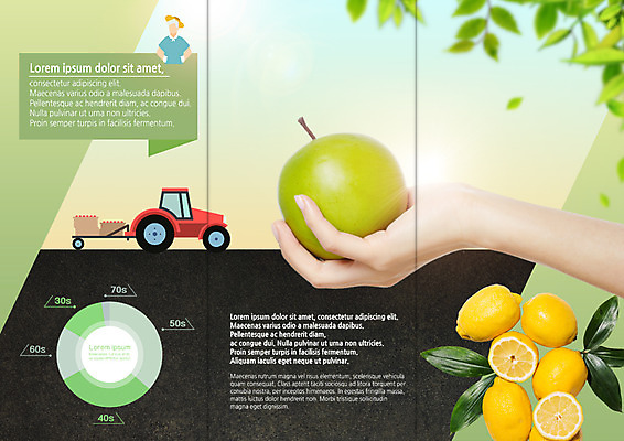 PSD 템플릿 표지디자인 북디자인 손 출판디자인 남자 내지 리플렛 북커버 3단접지 나뭇잎 한손 팜플렛 성인 신체부위 사과 농부 레몬 유기농 청사과 트랙터 이미지템플릿 직업 웰빙 잎 과일 사람 농기계 특수차량 파일형식