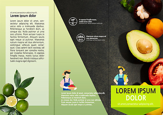 PSD 템플릿 표지디자인 북디자인 출판디자인 표지 남자 리플렛 토마토 북커버 3단접지 팜플렛 성인 두명 수확 농부 유기농 라임 아보카도 망고스틴 이미지템플릿 직업 웰빙 농업 채소 과일 사람 파일형식