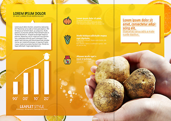 PSD 템플릿 표지디자인 북디자인 손 출판디자인 내지 리플렛 북커버 오렌지 3단접지 그래프 감자 팜플렛 신체부위 양손 레몬 파인애플 유기농 이미지템플릿 웰빙 채소 과일 사람 열대과일 파일형식