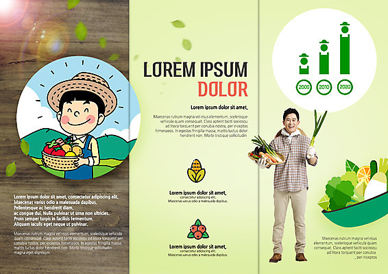 PSD 템플릿 표지디자인 북디자인 출판디자인 남자 내지 리플렛 40대 북커버 3단접지 그래프 옥수수 팜플렛 두명 바구니 한국인 수확 농부 무 유기농 대파 이미지템플릿 직업 웰빙 중년 농업 곡류 뿌리채소 사람 동양인 파 파일형식