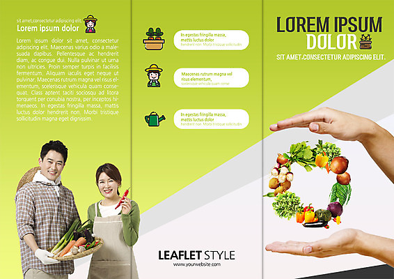 PSD 템플릿 표지디자인 북디자인 손 출판디자인 여자 표지 남자 리플렛 40대 북커버 3단접지 양파 피망 팜플렛 신체부위 세명 광주리 당근 한국인 양손 수확 농부 배추 유기농 파 이미지템플릿 직업 웰빙 중년 농업 채소 뿌리채소 사람 동양인 바구니 파일형식