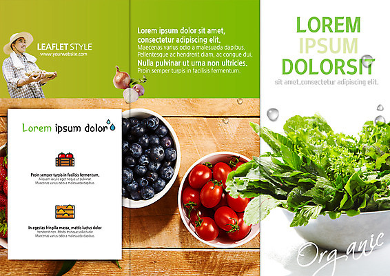 PSD 템플릿 표지디자인 북디자인 출판디자인 표지 남자 리플렛 40대 북커버 3단접지 방울토마토 양파 한명 팜플렛 한국인 농부 상추 유기농 블루베리 이미지템플릿 직업 1 웰빙 중년 토마토 채소 과일 사람 동양인 파일형식