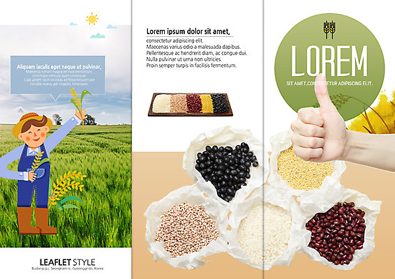 PSD 템플릿 표지디자인 북디자인 손 출판디자인 남자 내지 리플렛 북커버 3단접지 곡류 한손 논 한명 팜플렛 성인 신체부위 쌀 최고 농부 유기농 팥 검은콩 이미지템플릿 직업 1 웰빙 농업 콩 사람 파일형식