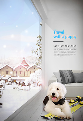 PSD 편집 편집이미지 한마리 여행 겨울 창문 스키 사람없음 소파 눈 개 스키장비 반려 스키고글 올드잉글리쉬쉽독 이미지편집 자연요소 1 계절 스포츠용품 의자 포유류 날씨 겨울스포츠 파일형식