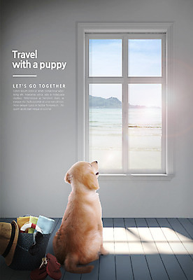 PSD 편집 편집이미지 모자 한마리 바다 여행 가방 창문 사람없음 여름휴가 바캉스 선글라스 개 반려 이미지편집 1 잡화 안경 포유류 휴가 파일형식 여름_계절