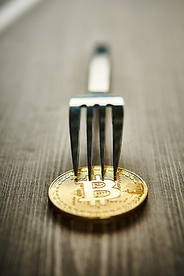 포토 JPG 스튜디오촬영 포크 돈 실내 사람없음 아웃포커스 동전 오브젝트 가상 가상화폐 국내포토 식기 촬영기법 내부 재산 파일형식