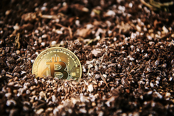 포토 JPG 스튜디오촬영 돈 실내 사람없음 동전 흙 오브젝트 가상 가상화폐 국내포토 내부 재산 파일형식