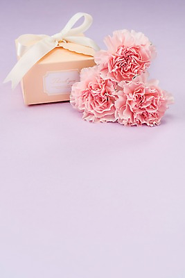 포토 JPG 스튜디오촬영 리본 실내 선물 사람없음 선물상자 어버이날 스승의날 카네이션 오브젝트 감사 국내포토 기념일 꽃 감정 내부 상자 파일형식