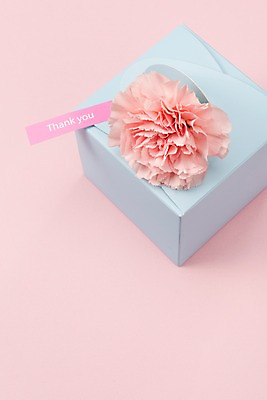 포토 JPG 스튜디오촬영 실내 선물 사람없음 선물상자 어버이날 스승의날 카네이션 오브젝트 감사 국내포토 기념일 꽃 감정 내부 상자 파일형식