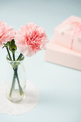 포토 JPG 스튜디오촬영 실내 선물 사람없음 선물상자 꽃병 어버이날 스승의날 카네이션 오브젝트 감사 국내포토 기념일 꽃 감정 내부 상자 파일형식