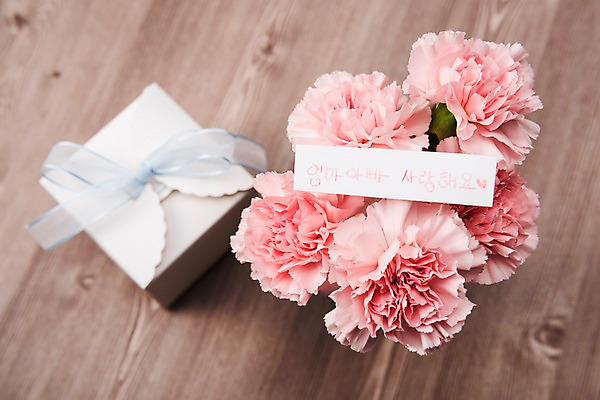 포토 JPG 스튜디오촬영 실내 선물 사람없음 선물상자 어버이날 카네이션 오브젝트 감사 국내포토 기념일 꽃 감정 내부 상자 파일형식