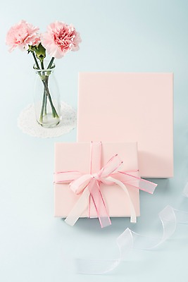 포토 JPG 스튜디오촬영 리본 실내 선물 사람없음 선물상자 어버이날 스승의날 카네이션 오브젝트 감사 국내포토 기념일 꽃 감정 내부 상자 파일형식