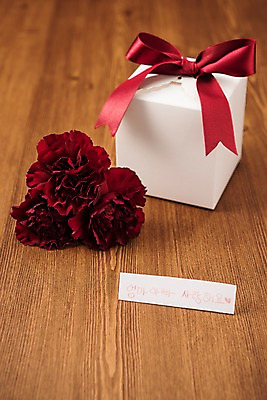 포토 JPG 스튜디오촬영 리본 실내 선물 사람없음 선물상자 어버이날 카네이션 오브젝트 감사 국내포토 기념일 꽃 감정 내부 상자 파일형식