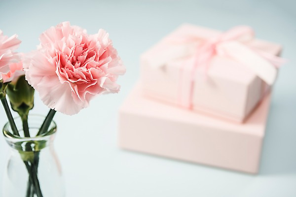 포토 JPG 스튜디오촬영 실내 선물 사람없음 아웃포커스 선물상자 어버이날 스승의날 카네이션 오브젝트 감사 국내포토 기념일 꽃 감정 촬영기법 내부 상자 파일형식