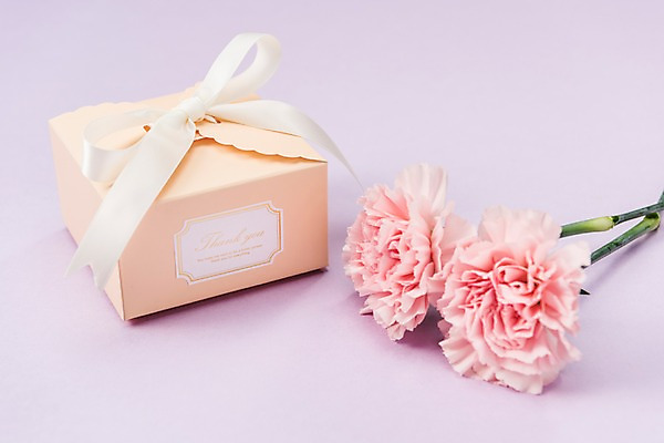 포토 JPG 스튜디오촬영 리본 실내 선물 사람없음 선물상자 어버이날 스승의날 카네이션 오브젝트 감사 국내포토 기념일 꽃 감정 내부 상자 파일형식