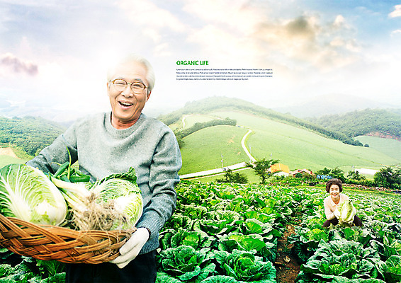 PSD 구름 편집 편집이미지 여자 노년 남자 하늘 두명 광주리 농사 노부부 기쁨 한국인 수확 60대 농부 배추 유기농 광고편집 파 배추밭 노인만 이미지편집 자연요소 직업 웰빙 부부 감정 밭 농업 채소 사람 동양인 성인 바구니 성인만 파일형식