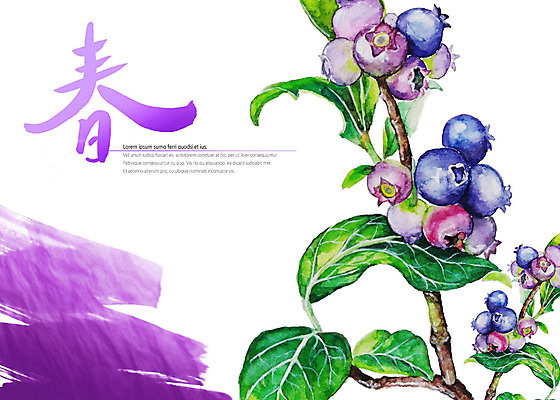 PSD 열매 캘리배경 잎 일러스트 캘리그라피 사람없음 보라색 봄 블루베리 봄춘 국내일러스트 식물 계절 컬러 백그라운드 과일 한자 파일형식