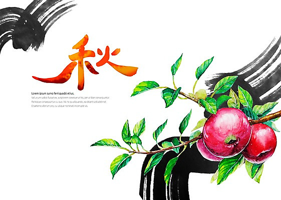 PSD 캘리배경 잎 일러스트 캘리그라피 붓터치 사람없음 가을 가을추 홍옥 가을배경 국내일러스트 식물 계절 백그라운드 한자 사과 파일형식 가을_계절