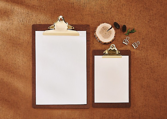 포토 JPG 나무 종이 나뭇잎 프레임 사람없음 클립 솔방울 나이테 결재판 목업 국내포토 식물 잎 결재 파일형식