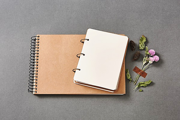 포토 JPG 꽃 종이 나뭇잎 프레임 사람없음 공책 솔방울 목업 국내포토 식물 잎 문구용품 파일형식