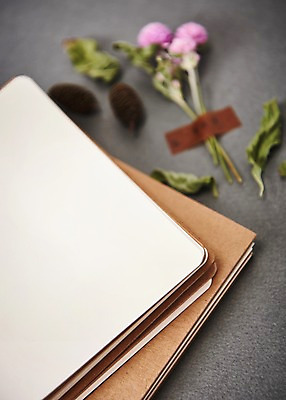 포토 JPG 꽃 종이 나뭇잎 프레임 사람없음 아웃포커스 공책 목업 국내포토 식물 잎 문구용품 촬영기법 파일형식