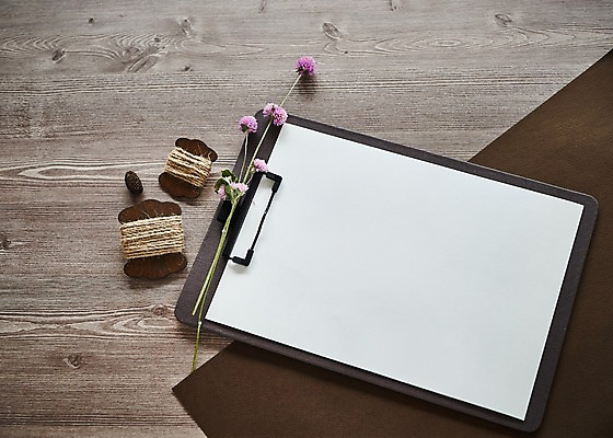 포토 JPG 꽃 종이 프레임 사람없음 실 결재판 목업 국내포토 식물 결재 파일형식