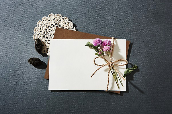 포토 JPG 꽃 종이 편지봉투 프레임 사람없음 편지 솔방울 목업 국내포토 식물 봉투 파일형식