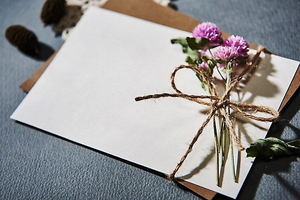 포토 JPG 꽃 종이 편지봉투 프레임 사람없음 편지 목업 국내포토 식물 봉투 파일형식