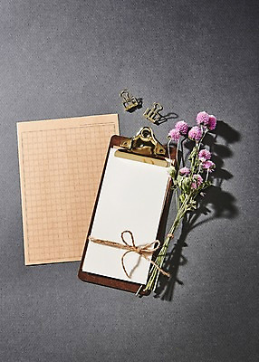 포토 JPG 꽃 종이 프레임 사람없음 클립 노끈 원고지 목업 국내포토 식물 줄 파일형식