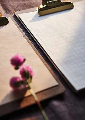 포토 JPG 꽃 종이 프레임 근접촬영 사람없음 아웃포커스 결재판 원고지 목업 국내포토 식물 뷰포인트 촬영기법 결재 파일형식