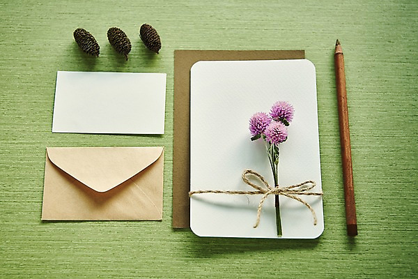 포토 JPG 꽃 종이 편지봉투 프레임 사람없음 연필 편지지 솔방울 노끈 목업 국내포토 식물 줄 학용품 봉투 필기구 편지 파일형식