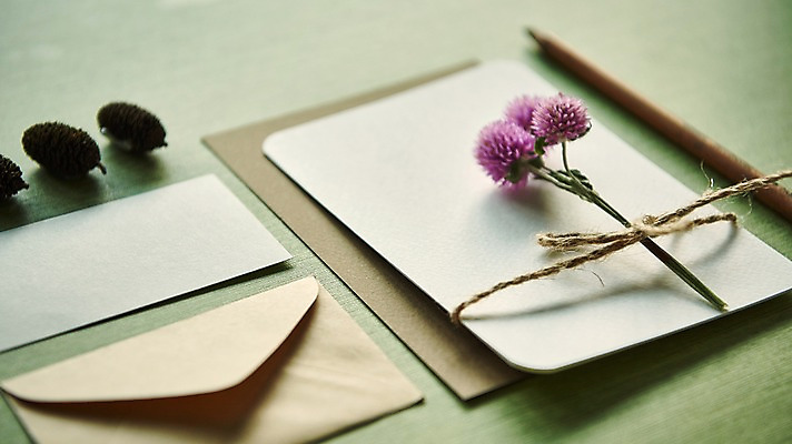 포토 JPG 꽃 종이 편지봉투 프레임 사람없음 아웃포커스 연필 편지지 솔방울 노끈 목업 국내포토 식물 줄 학용품 봉투 촬영기법 필기구 편지 파일형식