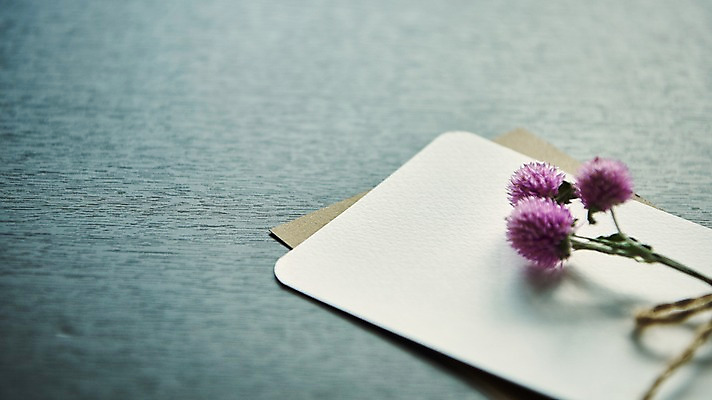 포토 JPG 꽃 종이 프레임 근접촬영 사람없음 목업 국내포토 식물 뷰포인트 파일형식