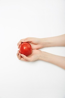 포토 JPG 스튜디오촬영 손 여자 토마토 실내 한명 손짓 20대 성인 신체부위 양손 잡기 성인여자한명만 국내포토 1 채소 모션 사람 청년 내부 여자한명만 성인여자만 파일형식