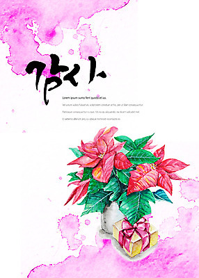 PSD 분홍색 일러스트 캘리그라피 선물 타이포그라피 글자캘리그라피 사람없음 감사 번짐 크리스마스로즈 국내일러스트 식물 문자 감정 컬러 파일형식 효과