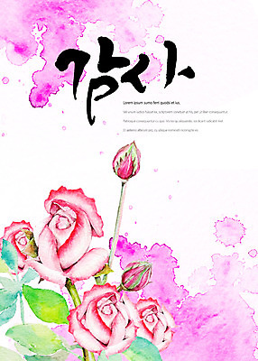 PSD 분홍색 일러스트 캘리그라피 나뭇잎 타이포그라피 글자캘리그라피 사람없음 장미 감사 번짐 국내일러스트 문자 꽃 감정 컬러 잎 파일형식 효과