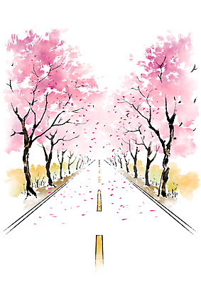 PSD 나무 도로 일러스트 캘리그라피 풍경 사람없음 벚꽃 국내일러스트 식물 꽃 길 교통시설 파일형식