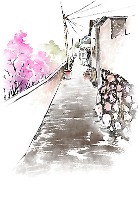 PSD 길 일러스트 캘리그라피 주택 돌담 풍경 사람없음 벚꽃 국내일러스트 꽃 건물 담장 돌_바위 파일형식