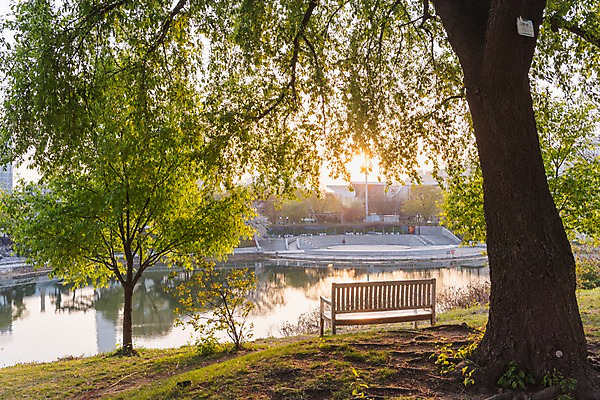 포토 JPG 주간 나무 호수 벤치 사람없음 야외 노을 봄 올림픽공원 국내포토 자연요소 식물 계절 공원 의자 서울 파일형식