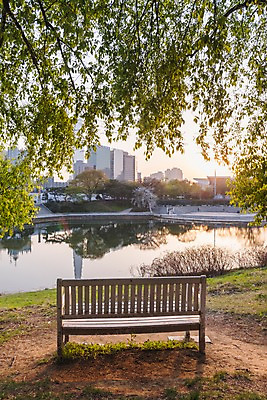 포토 JPG 주간 나무 호수 벤치 잔디 사람없음 야외 건물 노을 봄 올림픽공원 국내포토 자연요소 식물 건축물 계절 공원 의자 서울 파일형식