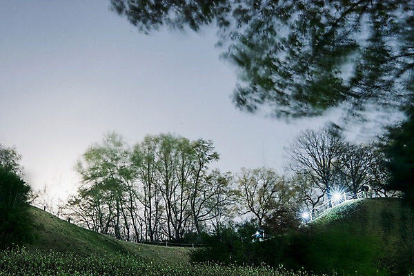 포토 JPG 나무 야경 하늘 잔디 사람없음 야외 빛 봄 국내포토 식물 계절 야간 파일형식 풍경_경치