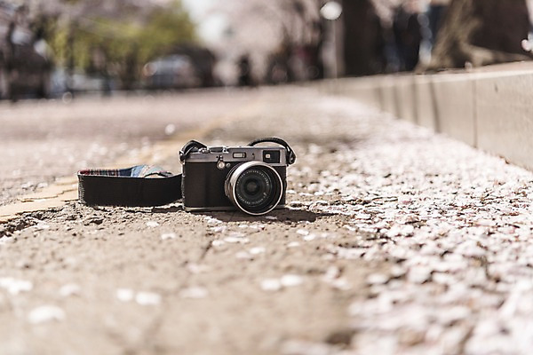 포토 JPG 주간 꽃잎 사람없음 야외 아웃포커스 카메라 봄 벚꽃 낙화 국내포토 자연요소 계절 꽃 촬영기법 전자제품 파일형식