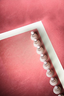 PSD 편집이미지 스포츠 사람없음 운동 3D 셔틀콕 디지털합성 배드민턴 배드민턴장 편집3D 스포츠용품 건강 구기 파일형식