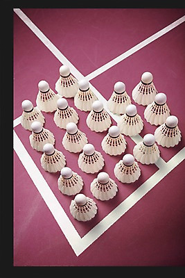 PSD 편집이미지 스포츠 사람없음 운동 3D 셔틀콕 디지털합성 배드민턴 배드민턴장 편집3D 스포츠용품 건강 구기 파일형식