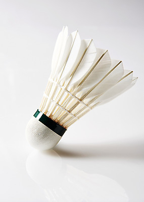 포토 JPG 스튜디오촬영 스포츠 실내 사람없음 운동 셔틀콕 배드민턴 국내포토 스포츠용품 건강 내부 구기 파일형식