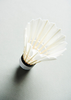 포토 JPG 스튜디오촬영 스포츠 실내 사람없음 운동 셔틀콕 배드민턴 국내포토 스포츠용품 건강 내부 구기 파일형식