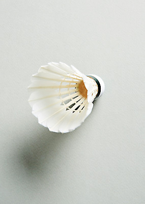 포토 JPG 스튜디오촬영 스포츠 실내 사람없음 운동 셔틀콕 배드민턴 국내포토 스포츠용품 건강 내부 구기 파일형식