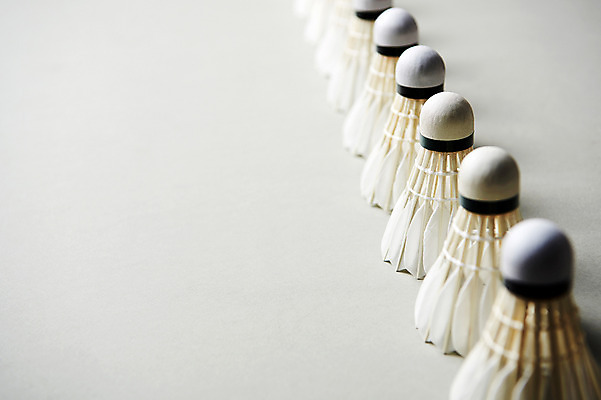 포토 JPG 스튜디오촬영 스포츠 실내 사람없음 운동 셔틀콕 일렬 배드민턴 국내포토 스포츠용품 건강 내부 구기 파일형식