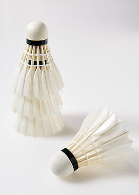 포토 JPG 스튜디오촬영 스포츠 실내 사람없음 운동 셔틀콕 배드민턴 국내포토 스포츠용품 건강 내부 구기 파일형식