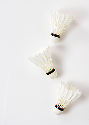 포토 JPG 스튜디오촬영 스포츠 실내 사람없음 운동 셔틀콕 배드민턴 국내포토 스포츠용품 건강 내부 구기 파일형식